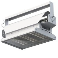 Светильник светодиодный ДО-80Вт Эверикс LED-80-Г60.4-IP66-УХЛ1(1/LIRA/740/RAL7035/TG/AC230/D/Х/G1) GALAD 22206