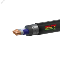 Кабель силовой ВБШвнг(А)-FRLS 2х16ок(N)-0.66 ВНИИКП ТРТС СКТ Групп (Псков) 52081