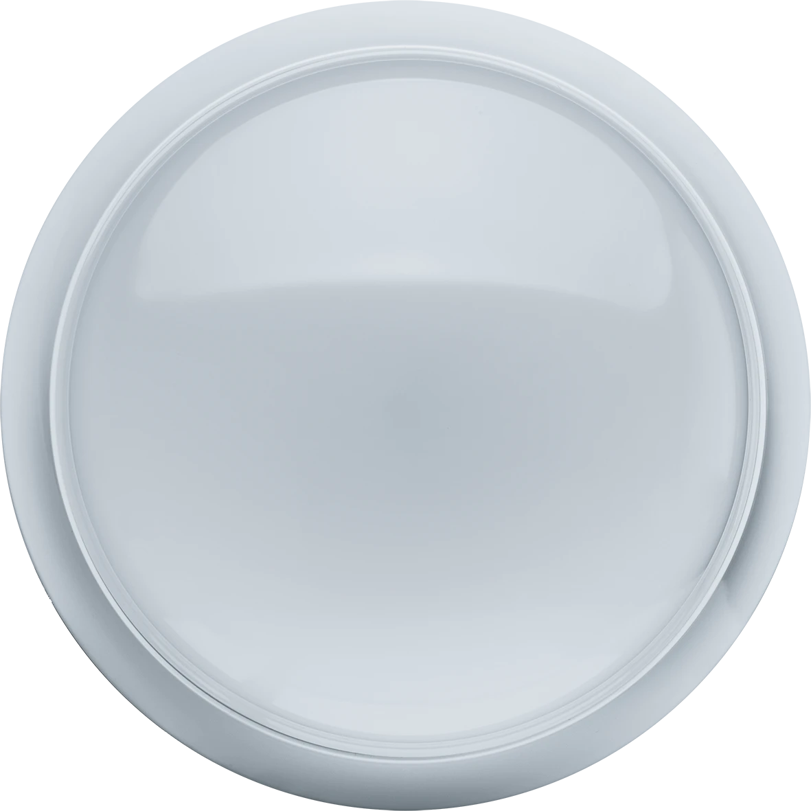 71920 NBL-P