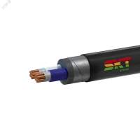 Кабель силовой ВБШвнг(А)-FRLS 2х35мк(N)-0.66 ВНИИКП ТРТС СКТ Групп (Псков) 52021