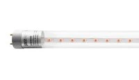 Лампа светодиодная LED 8Вт Т8 для растений прозрачная 600 мм G13 JazzWay 5025899