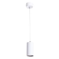 Светильник CANOPUS Arte Lamp A1516SP-1WH
