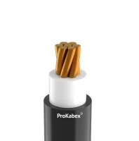 Кабель силовой ППГнг(А)-HF 1х240 мк-1 ТРТС коричневый Кабэкс ТХМ00406850