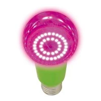 Лампа светодиодная для растений. LED-A60-15W/SPSB/E27/CL PLP30GR Форма A, прозрачная. Спектр для рассады и цветения. Картон. ТМ Uniel UL-00004582