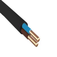 Кабель силовой ВВГнг(А)-LS 2х10ок-1 ТРТС Металлист Х0000003894