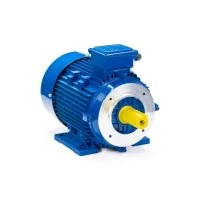 Электродвигатель 100 LA4-SDN- IM B34 2.2/1500 Китай ESQ 01.05.219842