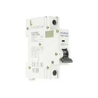 Автоматический выключатель HGD63-M 1PMCS0000C 00032 1 полюс, 32А, ток к.з. 6kA, хар-ка C (STANDARD) Элком 13.04.000851