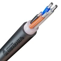 Кабель силовой АВВГ 3х25ок+1х16ок(N)-0,66 ТРТС Кавказкабель 22010010178