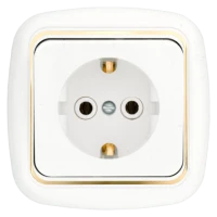 Беларусь Розетка скрытая с заземлением РС16-256 БелТИЗ РС16-256 зол Розетка РС16-256 з