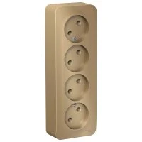 Розетка BLANCA наружная четырехпостовая, без заземления, без шторок, с изолирующей пластиной, 16А, 250В, титан Systeme Electric BLNRA000414