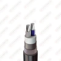 Кабель силовой АПвКШв 2х70 мк(N)-1 Угличкабель PL128120702100000000