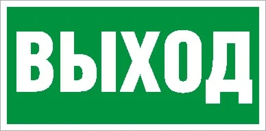 Пиктограмма (Выход) ПЭУ 010 240х125 PC-M Световые Технологии 2502000050