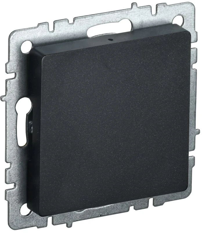 BRITE Заглушка с суппортом МЗ10-БрЧ черный IEK BR-PL10-K02 BRITE Заглушка с суппортом МЗ10-БрЧ черный IEK BR-PL10-K02