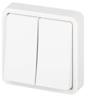 Выключатель двухклавишный скрытого монтажа IP55 белый 10А 250В винтовые зажимы ЭРА Эксперт 11-1524-01 Б0063271