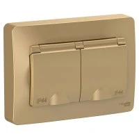 Розетка BLANCA скрытой установки IP44 двойная, с заземлением, со шторками, 16А, 250В, титан Systeme Electric BLNRS441124