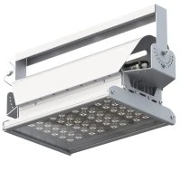 Светильник светодиодный ДО-100Вт Эверикс LED-100-Д120-IP66-У1(1/LIRA/840/RAL7035/TG/AC230/D/Х/G1) GALAD 20686 Светильник светодиодный ДО-100Вт Эверикс LED-100-Д120-IP66-У1(1/LIRA/840/RAL7035/TG/AC230/D/Х/G1) GALAD 20686