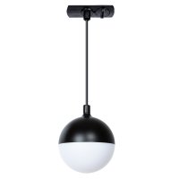 Светильник трековый VIRGO Arte Lamp A4564PL-1BK