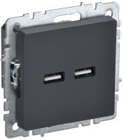 BRITE Розетка USB A+A 3.1А РЮ10-1-БрГ графит IEK BR-U21-D31-K53