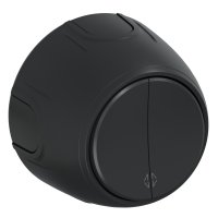 Переключатель двойной  Rotondo, цвет черный OneKeyElectro 3E31601203 7700960