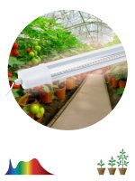 Фитолампа светодиодная линейная FITO-24W-Ra90-N полного спектра 24 Вт ЭРА Б0061422 Фитолампа светодиодная линейная FITO-24W-Ra90-N полного спектра 24 Вт ЭРА Б0061422