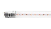 Лампа светодиодная LED 8Вт Т8 для растений прозрачная 600 мм G13 JazzWay 5025899