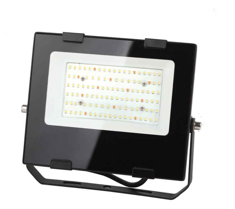Прожектор светодиодный для цветения и плодоношения FITO-50W-Ra90-LED (10/300) ЭРА Б0047875 Прожектор светодиодный для цветения и плодоношения FITO-50W-Ra90-LED (10/300) ЭРА Б0047875