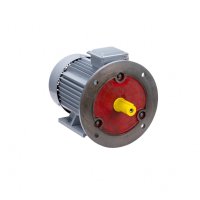 Электродвигатель общепромышленный трехфазный ESQ PR 180 S4 GST-Б1-S12-IE2 22/1500 IM 2001 01.01.223784