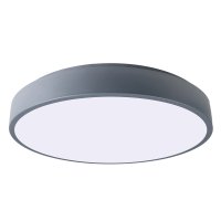 Светильник светодиодный потолочный SCANDIC ДБО-24W 4000К 2000Лм серый IP20 Jazzway JazzWay 5036864 Светильник светодиодный потолочный SCANDIC ДБО-24W 4000К 2000Лм серый IP20 Jazzway JazzWay 5036864