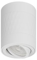 Светильник настенно-потолочный спот OL33 WH MR16 GU10 IP20 белый ЭРА Б0056379