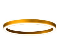 Светильник светодиодный  ДПО-24w 2300лм 4000К IP20 HOLE-RING Центрстройсвет ЦБ000018880
