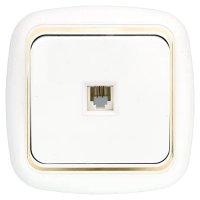 Беларусь Розетка телефонная скрытая ТР4-023 БелТИЗ TP4-023 зол Розетка ТР4-023