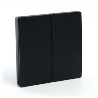 Кнопка-выключатель беспроводной 230V 500W двухклавишный, черный FERON TM82 41723
