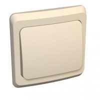 ЭТЮД Выключатель кнопочный EV Systeme Electric KC10-001K ЭТЮД Выключатель кнопочный EV Systeme Electric KC10-001K