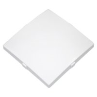 Беларусь Заглушка врамку ЮЛИГ БелТИЗ 735212306 Заглушка ЮЛИГ.735212.306