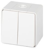 Переключатель Эксперт 11-1506-01 двойной IP55, 10АХ-250В, ОУ, белый ЭРА Б0063295