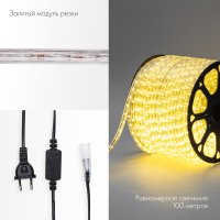 Дюралайт LED, постоянное свечение 2 W - тёплый белый, 36 LED/м, 100 м Neon-Night 121-126