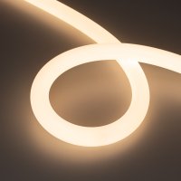 Лента герметичная MOONLIGHT-SIDE-FP-X1088-D25mm 24V Warm3000 (20 W/m, IP65, 5m, wire x1) (Arlight, Вывод кабеля боковой) 038868